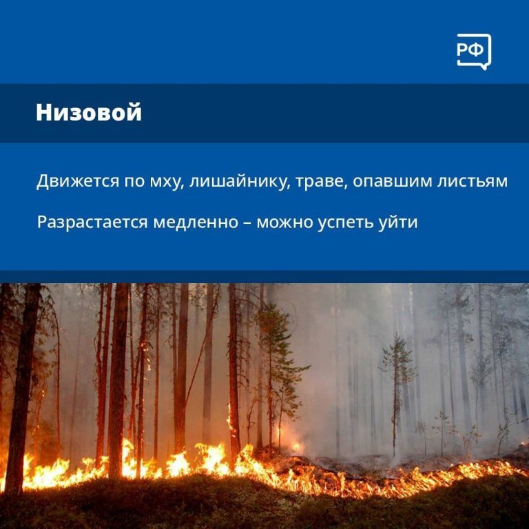 ea019f82706ece3ffd53269efd683283.jpg