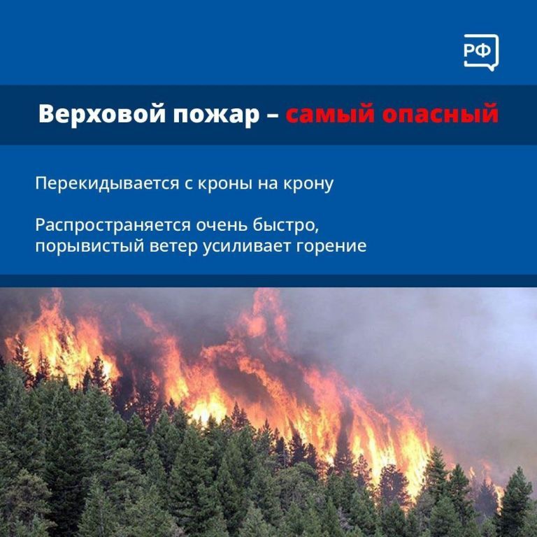 efe2d5cf45f85ca22b8ad7b70bbbc6a7.jpg