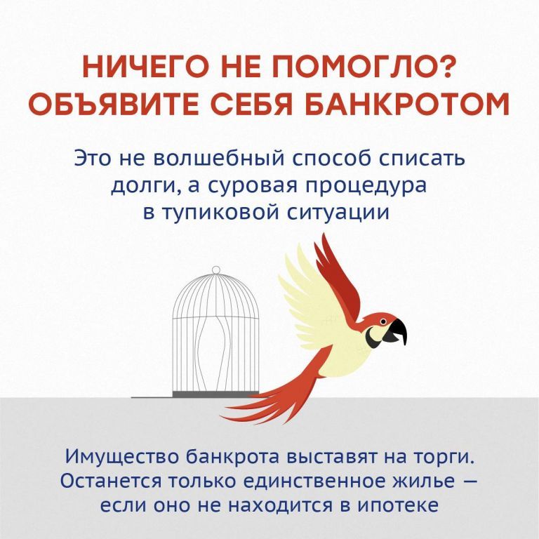 faa0bfe8eeba5ad07682c4ae86758799.jpg