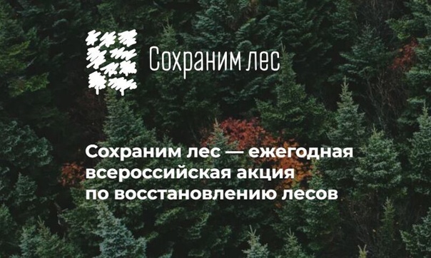zRQZuW0zF_I.jpg